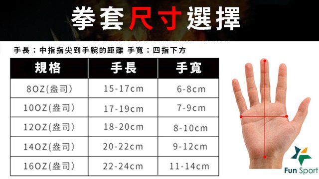 拳圖大小對照表