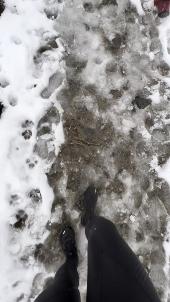 在冰面上行走