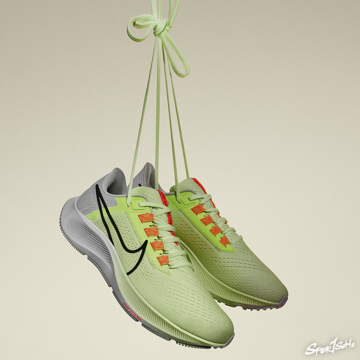 Pegasus 38