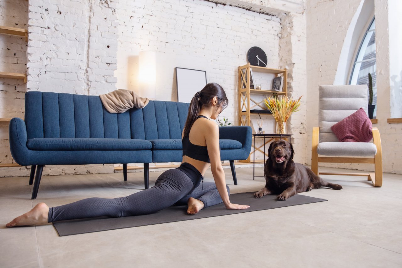 在歐美盛行的Dog Yoga能加強主人和愛犬間的心靈交流 歐美盛行Dog Yoga