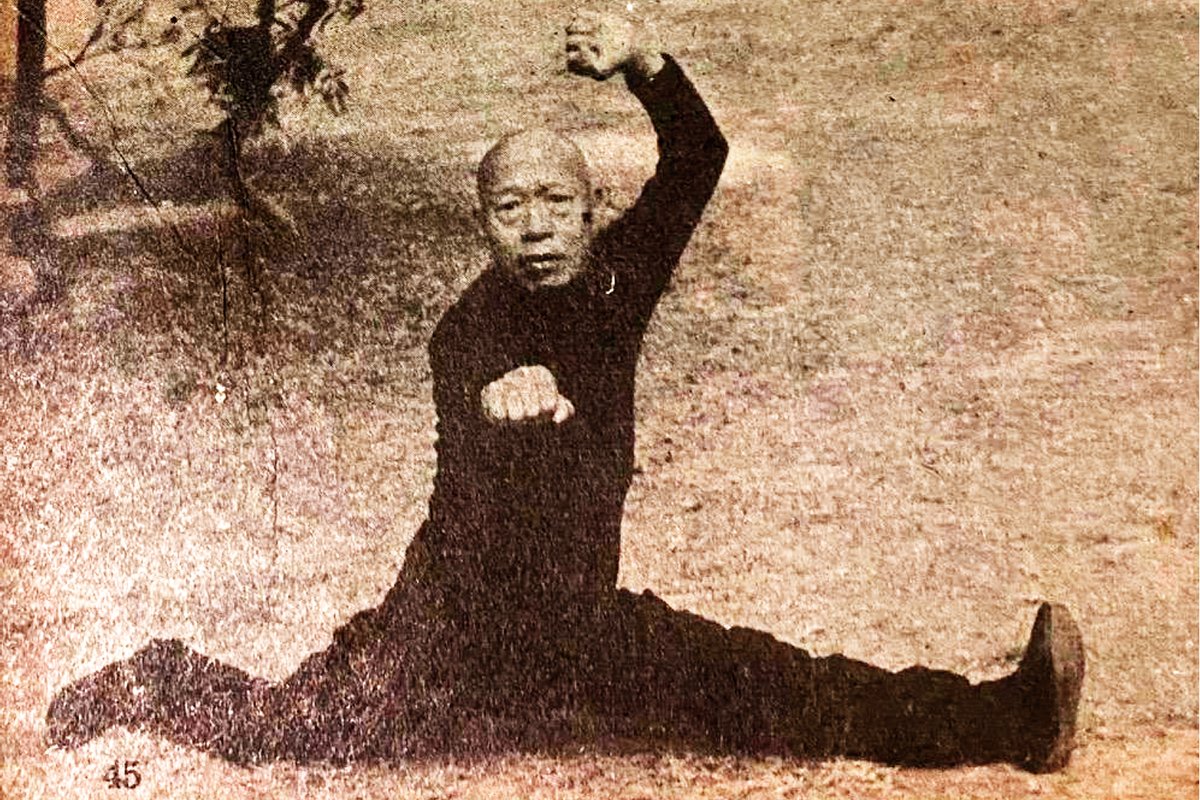 誰人自稱「假功夫」?|武意見