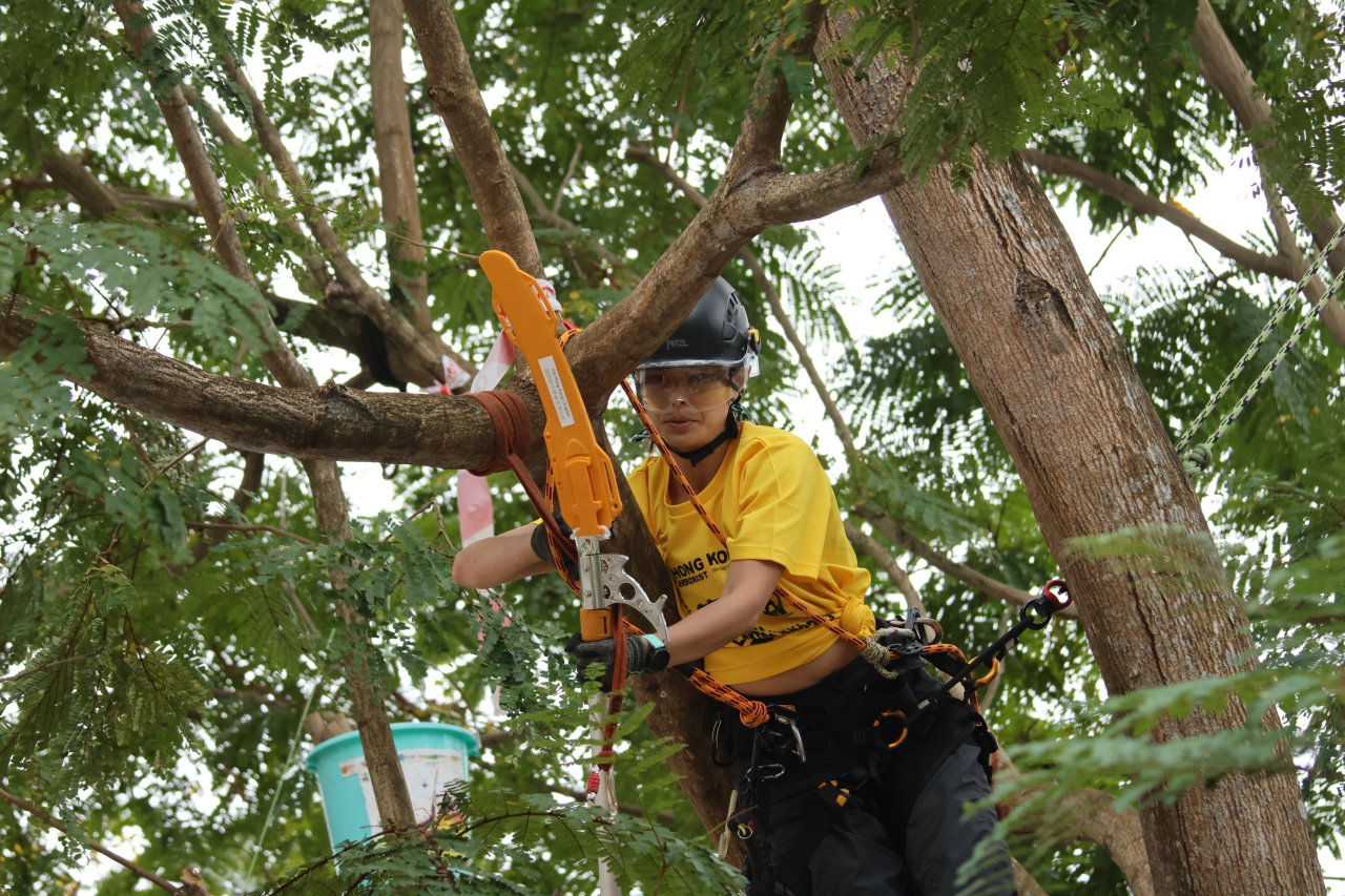工作攀爬 (Work Climb)