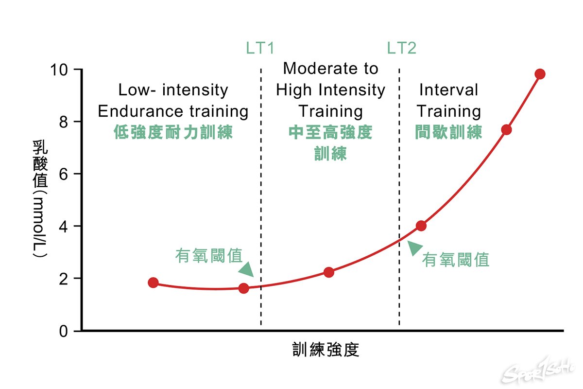 為什麼跑馬拉松要練十公里？分析高里數訓練與高強度訓練的分別｜STRENGTH & CONDITIONING.jpg
