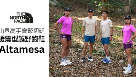 Altamesa